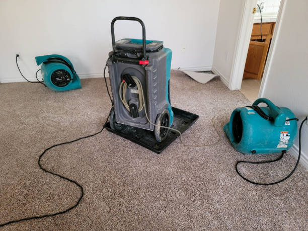 Best Water damage contractors near me  in Mcnair, VA