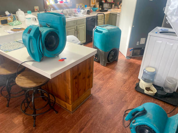 Best Local water damage restoration  in Mcnair, VA