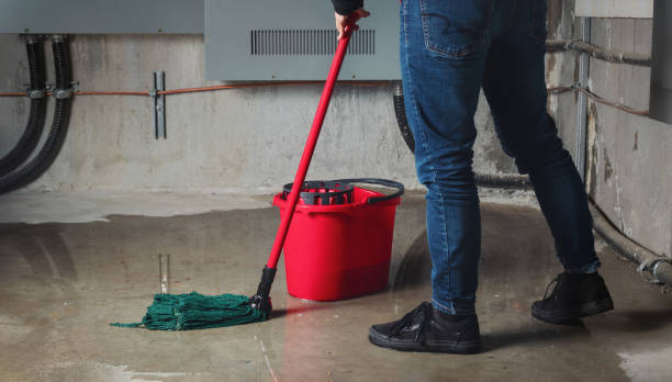 Best Ceiling water damage repair  in Mcnair, VA
