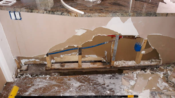 Best Local water damage restoration  in Mcnair, VA