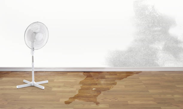 Best Flooded house restoration  in Mcnair, VA