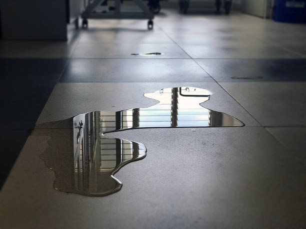 Best Water damage cleanup near me  in Mcnair, VA