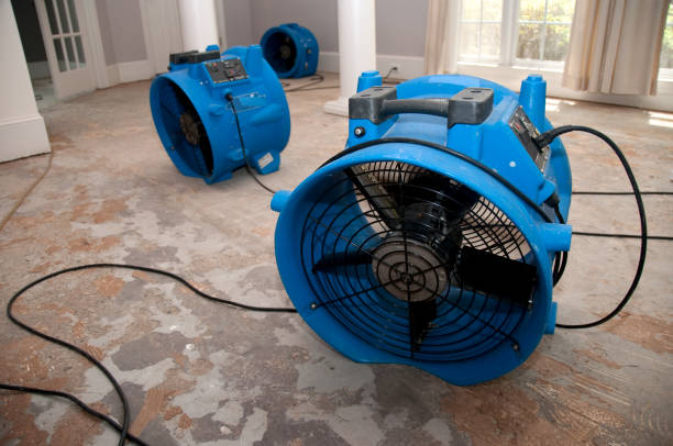 Best Flood damage cleanup  in Mcnair, VA
