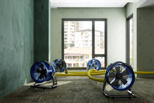 Best Flood restoration services  in Mcnair, VA